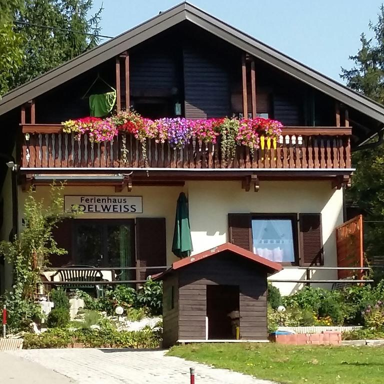 Ferienhaus Edelweiss Sankt Kanzian am Klopeiner See Zewnętrze zdjęcie